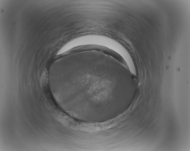 X0000080730029200701051110