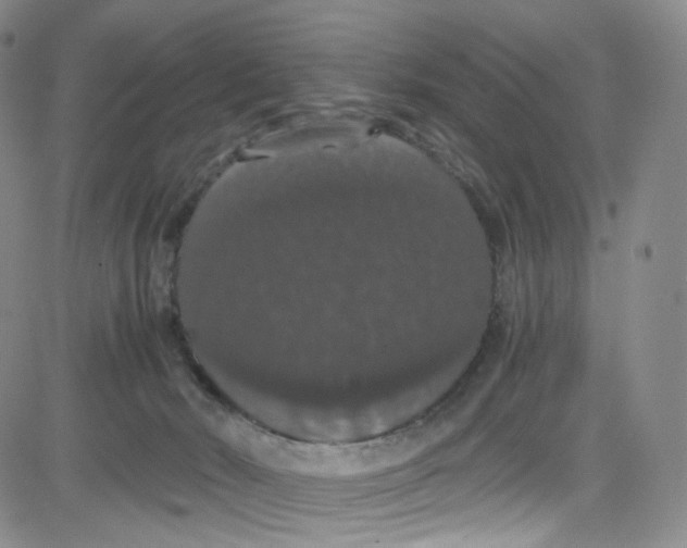 X0000080730030200701051110