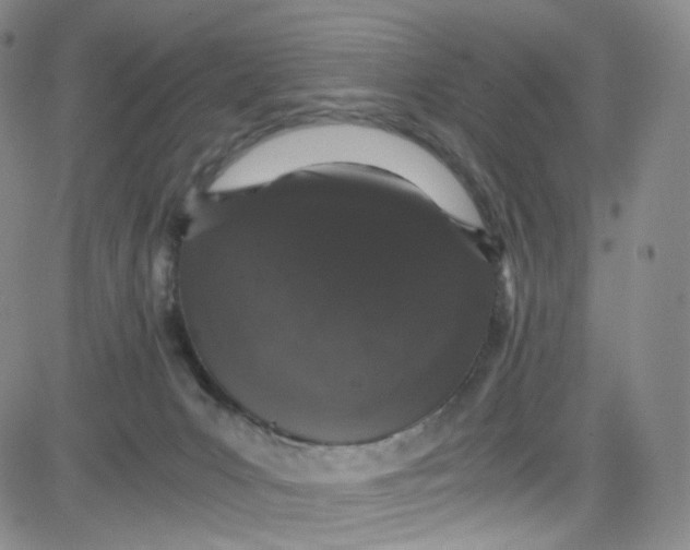 X0000080730031200701051110