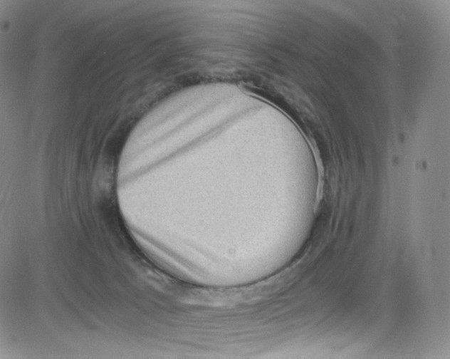 X0000080730033200701051110