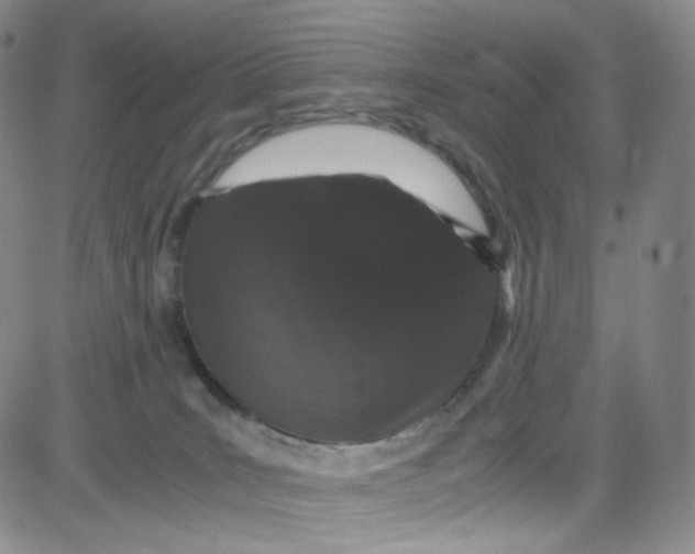 X0000080730035200701051110