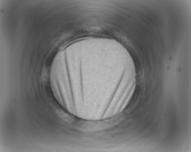 X0000080730037200701051110