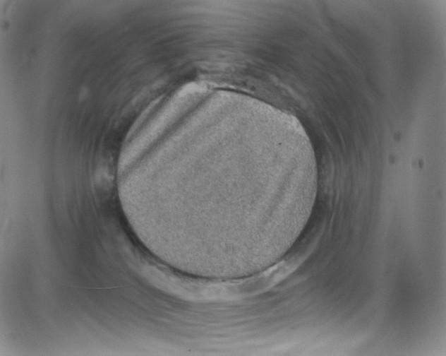 X0000080730040200701051110