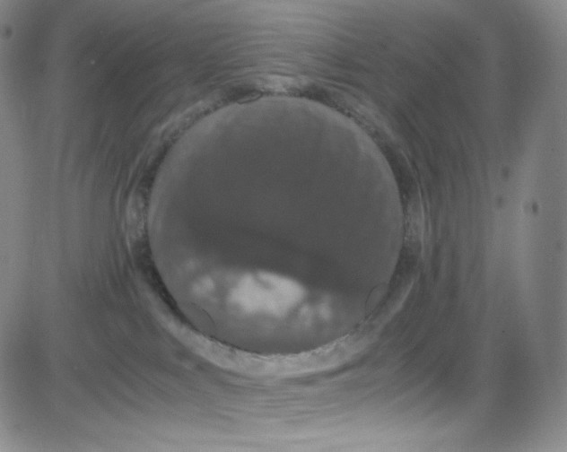 X0000080730043200701051110