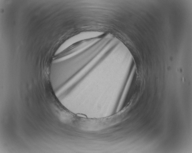 X0000080730045200701051110