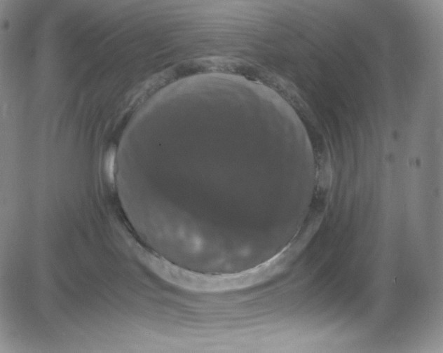 X0000080730047200701051110