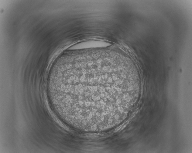 X0000080730049200701051109