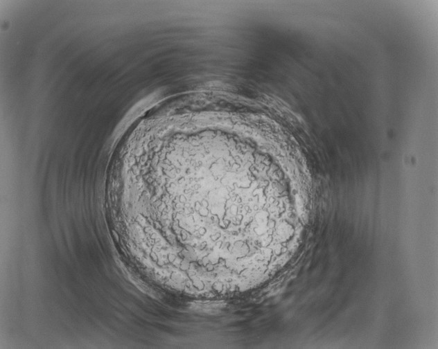 X0000080730051200701051109