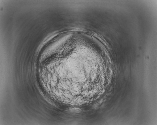 X0000080730055200701051109