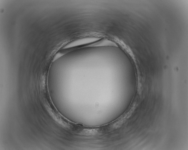 X0000080730057200701051109