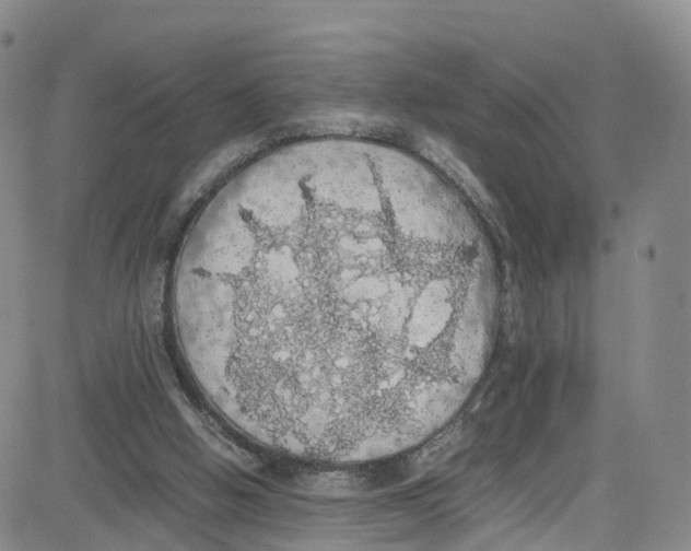 X0000080730058200701051109