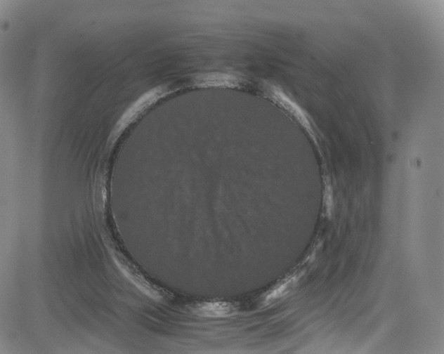 X0000080730059200701051109