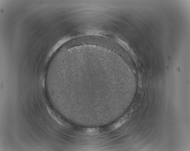 X0000080730060200701051109