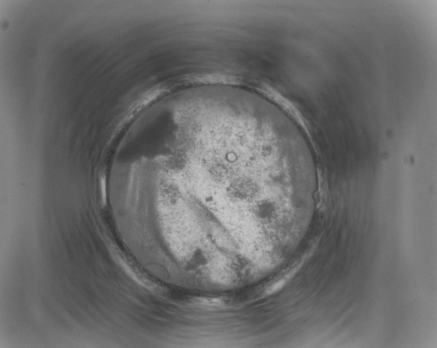 X0000080730061200701051109