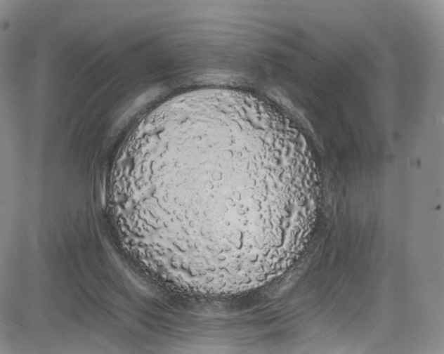 X0000080730062200701051109