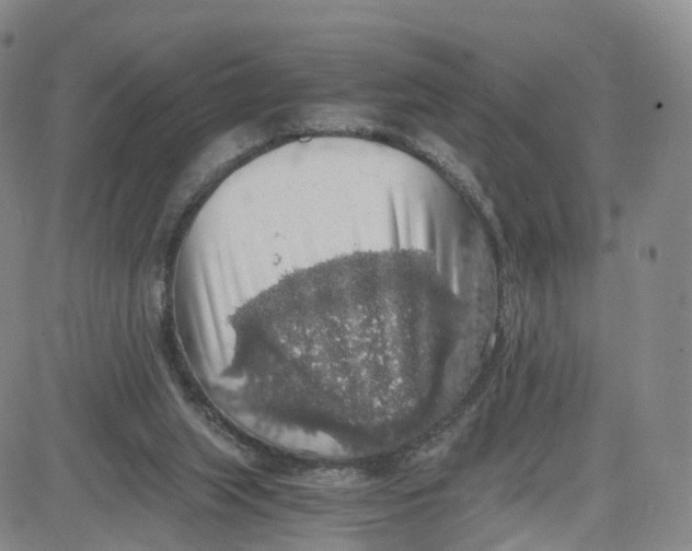 X0000080730063200701051109