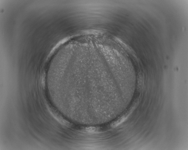 X0000080730064200701051109