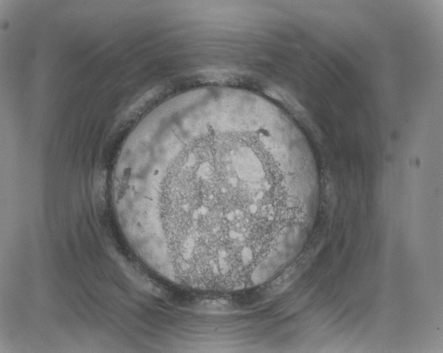 X0000080730066200701051109