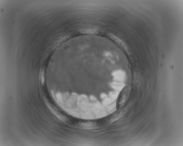 X0000080730069200701051109