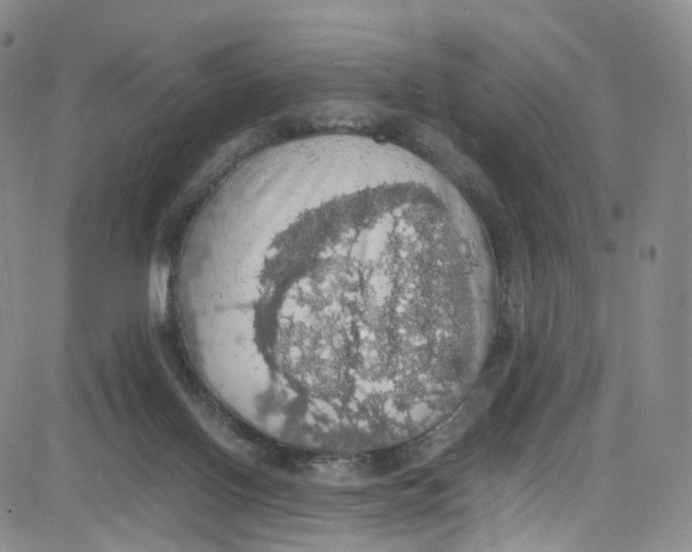 X0000080730070200701051109