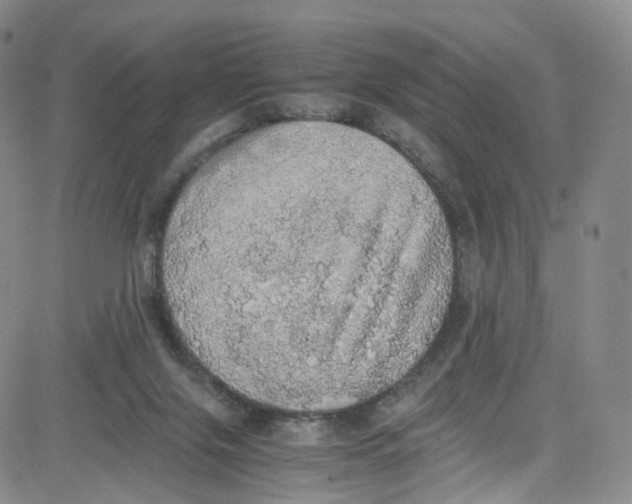 X0000080730071200701051109