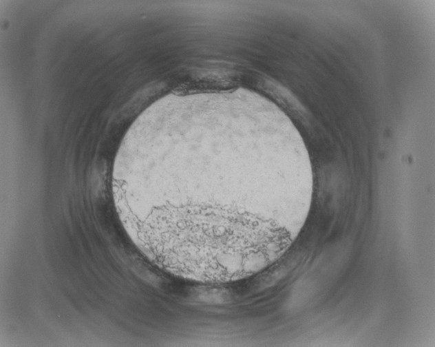 X0000080730073200701051109