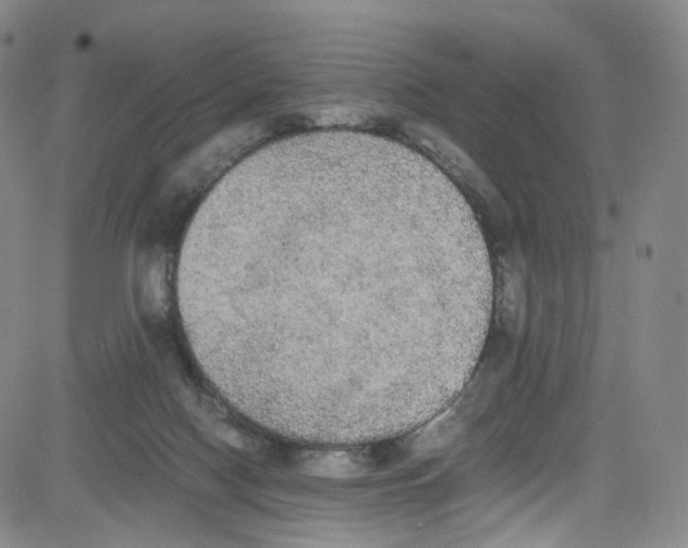 X0000080730074200701051109