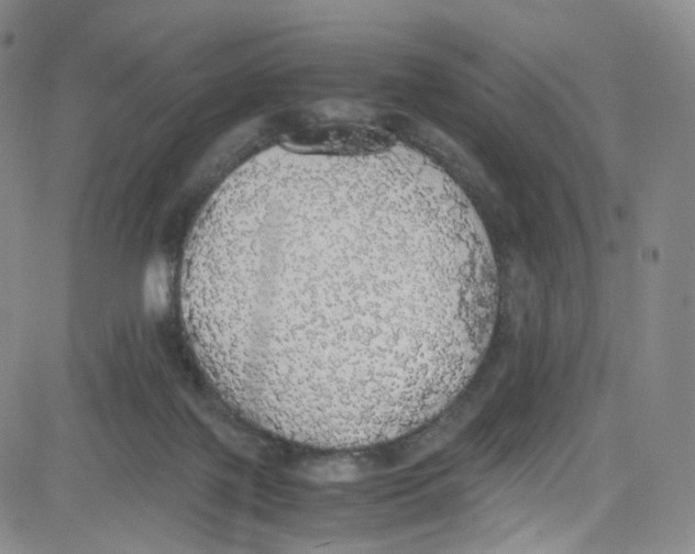 X0000080730075200701051109