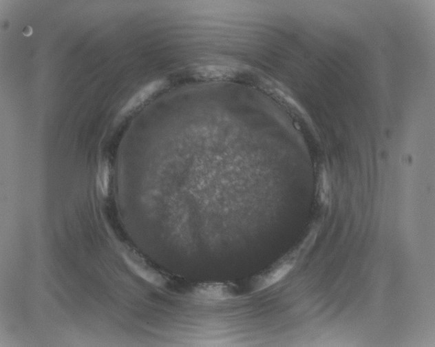 X0000080730076200701051109