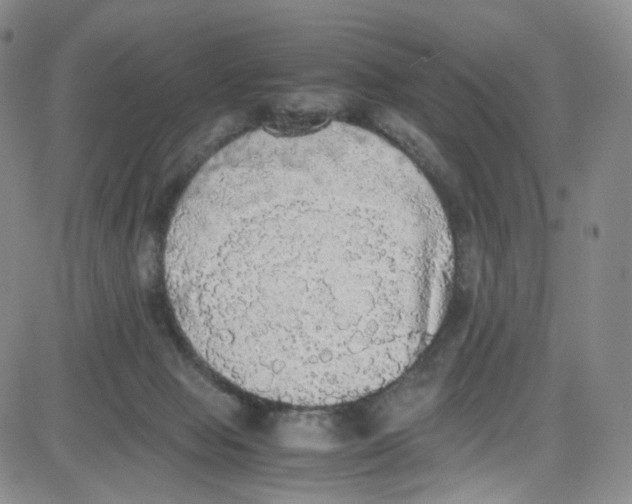 X0000080730077200701051109