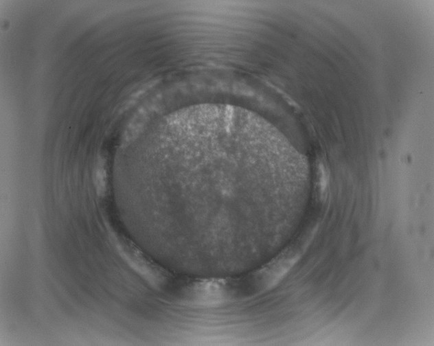 X0000080730080200701051109