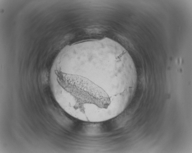 X0000080730081200701051109