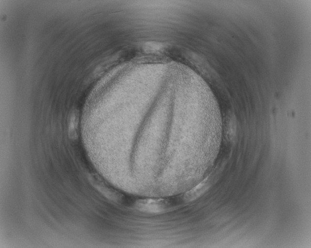 X0000080730082200701051109