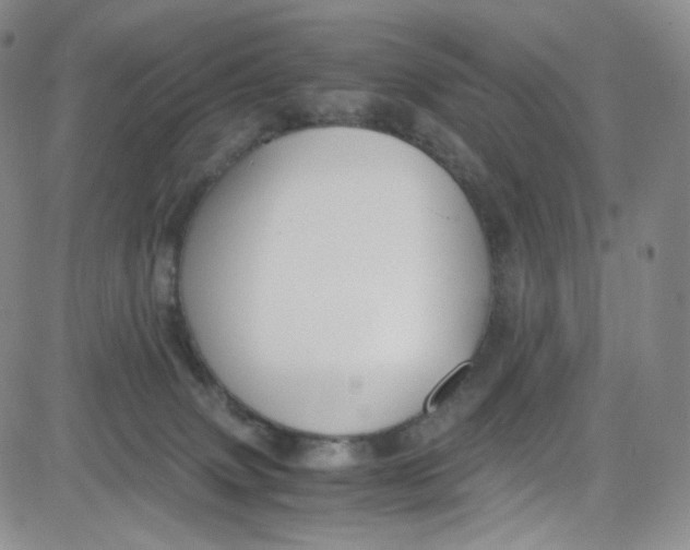 X0000080730083200701051109