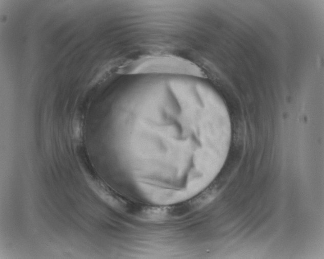 X0000080730084200701051110