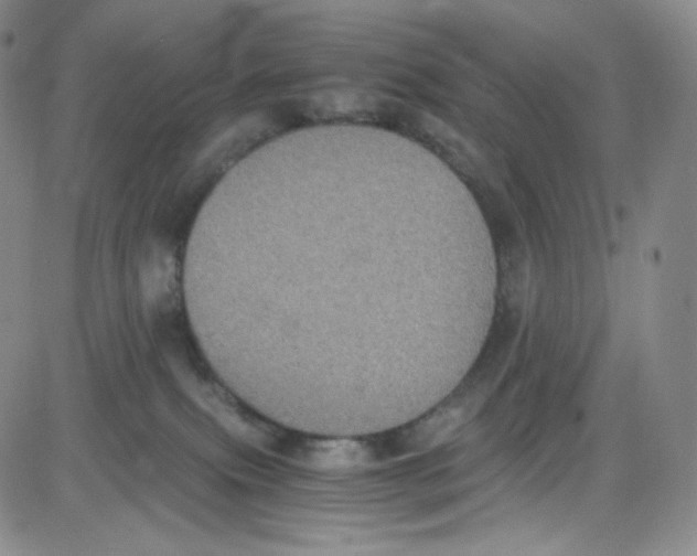 X0000080730087200701051110