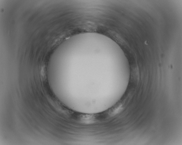 X0000080730088200701051110