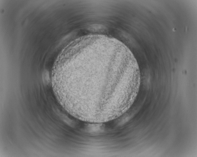 X0000080730089200701051110