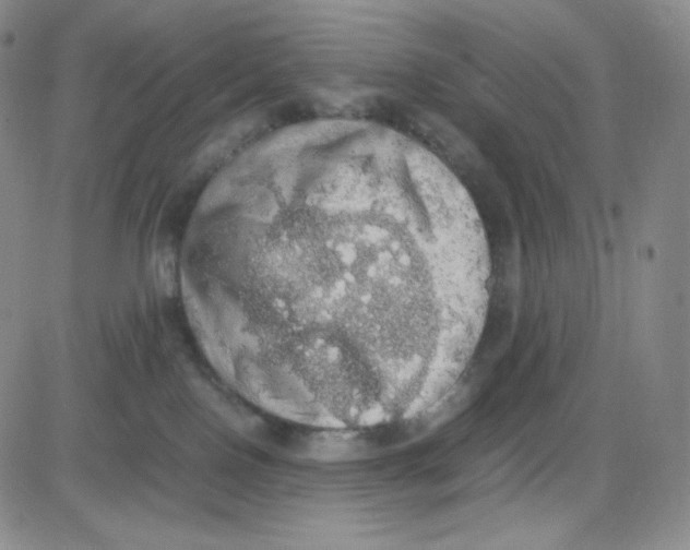 X0000080730090200701051110