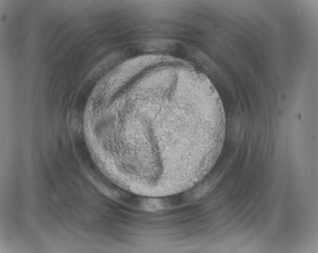 X0000080730091200701051110