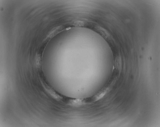 X0000080730092200701051110