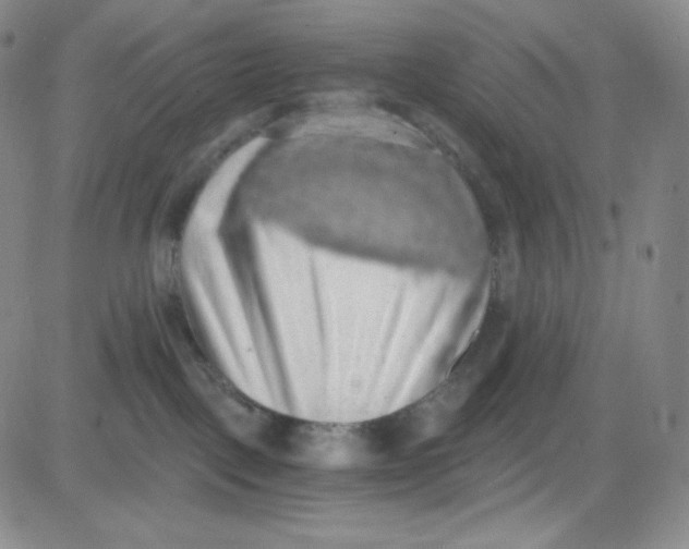 X0000080730093200701051110