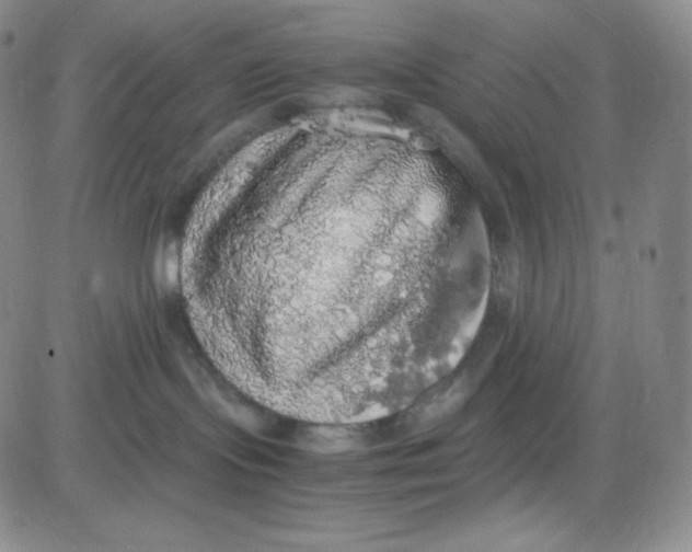 X0000080730095200701051110