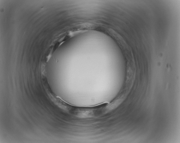 X0000080730096200701051110