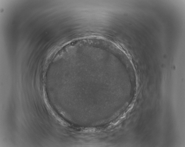 X0000080730097200701051109