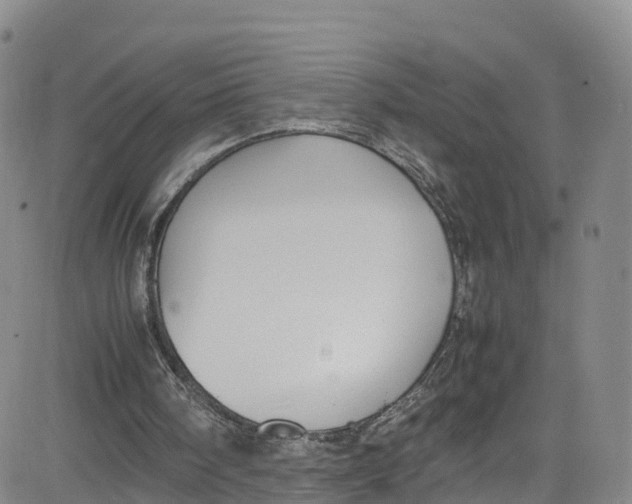 X0000080730098200701051109