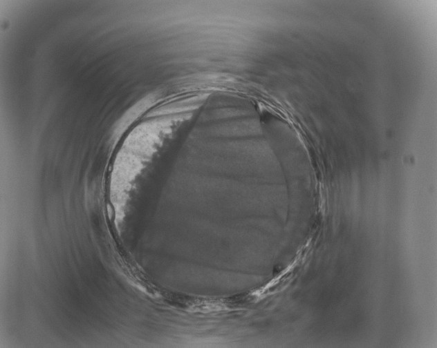 X0000080730099200701051109