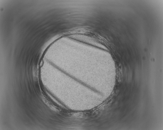 X0000080730100200701051109