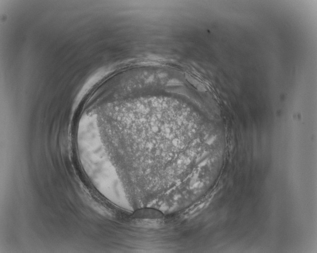 X0000080730102200701051109