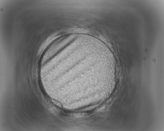 X0000080730103200701051109